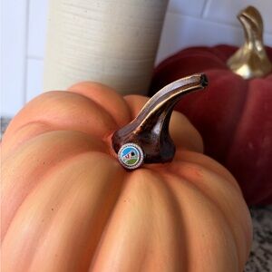 Pandora Lancaster County Charm